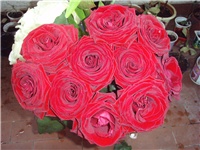 278e3d9a-Picture 326.jpg